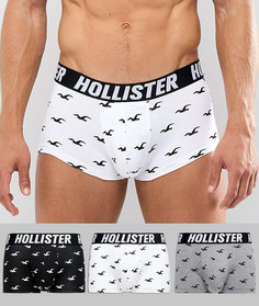 Комплект из 3 боксеров-брифов с принтом чайки (черные, белые, серые меланжевые) Hollister - Мульти