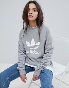 Серый свитшот с круглым вырезом и логотипом-трилистником adidas Originals - Серый