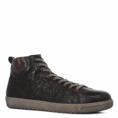 Кеды NERO GIARDINI A800491U темно-коричневый