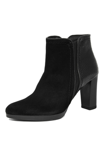 ankle boots PELLEDOCA