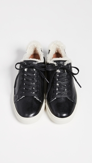 Frye Ivy Shearling Low Lace Sneakers