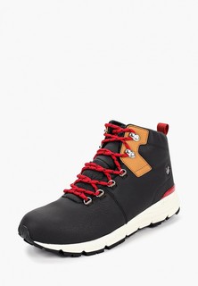 Ботинки DC Shoes