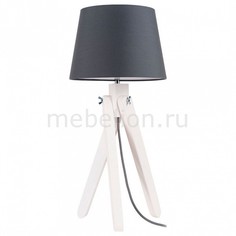 Настольная лампа декоративная Rune 6314402 Spot Light