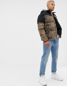 Дутая куртка с леопардовым принтом boohooMAN - Черный