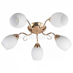Потолочная люстра Kristin TL3520X-05FG Top Light