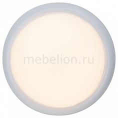 Накладной светильник Vigor G94151/05 Brilliant