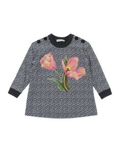Толстовка Dolce & Gabbana