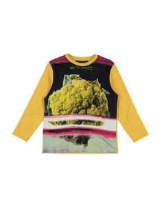 Футболка Etro