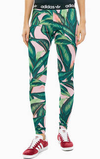 Разноцветные трикотажные леггинсы Adidas Originals