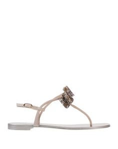 Вьетнамки Giuseppe Zanotti