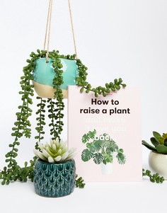 Книга How to raise a plant and make it love you back - Мульти Books