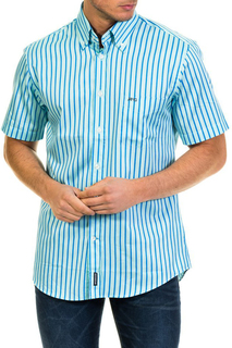 shirt MCGREGOR