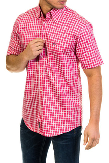 shirt MCGREGOR