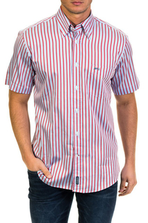 shirt MCGREGOR