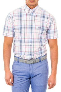Shirt MCGREGOR