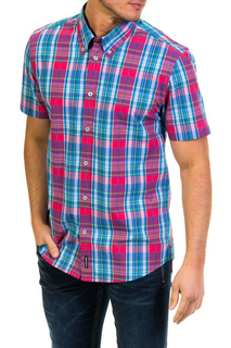 shirt MCGREGOR