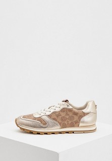 Кроссовки Coach