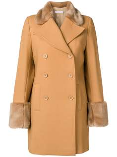 Одежда Vivetta