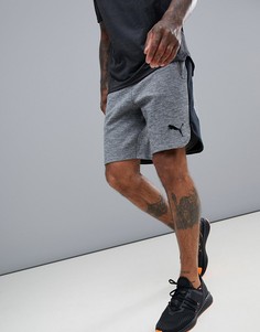 Серые шорты Puma Training EvoStripe - Серый