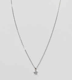 Серебристое ожерелье с подвеской-звездой и кристаллами Ted Baker - Серебряный