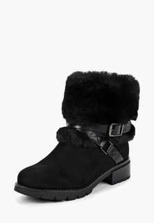 Полусапоги T.Taccardi