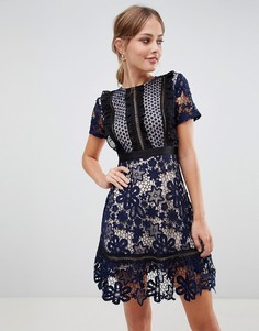 Кружевное платье мини с контрастной подкладкой Liquorish - Темно-синий