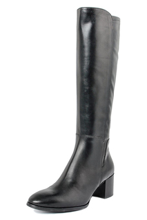 ankle boots PAOLA FERRI