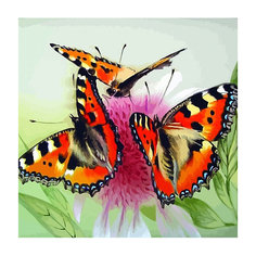 Картина по номерам Color KIT "Бабочки на цветке", 40х40 см