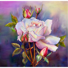 Алмазная картина-раскраска Color KIT "Сиреневый аккорд", 40х40 см