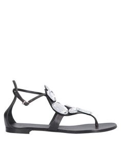 Вьетнамки Giuseppe Zanotti