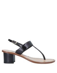 Вьетнамки Hilfiger Collection