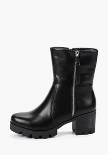 Полусапоги T.Taccardi