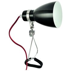 Настольная лампа Arte Lamp Dorm