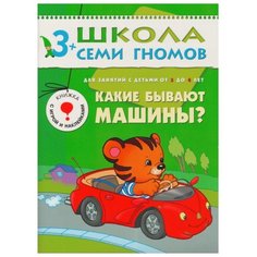 Денисова Д. Школа Семи Гномов Мозаика Синтез
