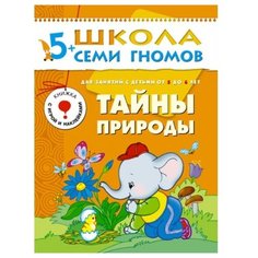 Дорожин Ю. Школа Семи Гномов Мозаика Синтез