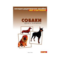 Набор карточек Мозаика-Синтез