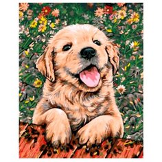 Цветной Картина по номерам