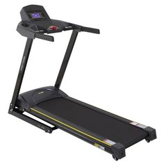 Электрическая беговая дорожка Hasttings