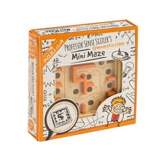 Головоломка Professor Puzzle