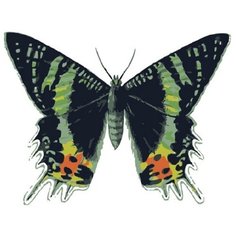 Menglei Картина по номерам