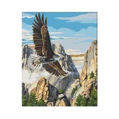 Мосфа Картина по номерам Полет