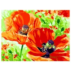 Color Kit Картина по номерам