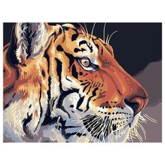 Dimensions Картина по номерам