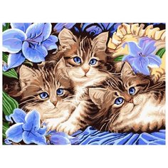 Color Kit Картина по номерам