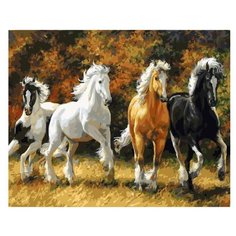 Color Kit Картина по номерам