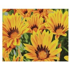 Color Kit Картина по номерам