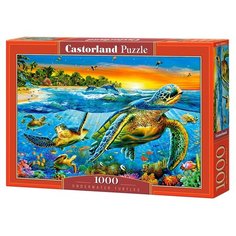 Пазл Castorland Underwater