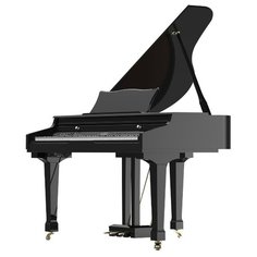 Цифровое пианино Ringway GDP6320