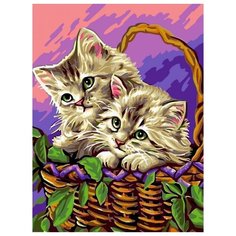 Color Kit Картина по номерам