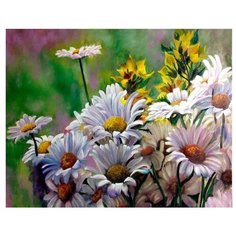 Paintboy Картина по номерам